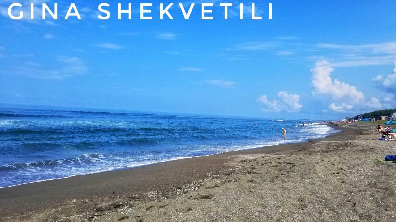 Gina Shekvetili Hotel Eksteriør billede